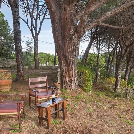 Amazing In San Pietro In Campo With Wifi Holiday home